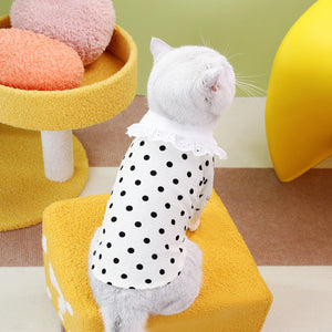 Pet Clothes Blue Cat Ragdoll T-shirt Clothing