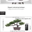 Simulation Artificial Flower Potting Decoration Plastic Tree Big Welcome Pine