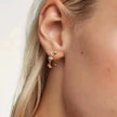 Women's Gold-plated S925 Stud Earrings