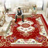 Carpet Doormat Foot Mat Toilet Anti Skid