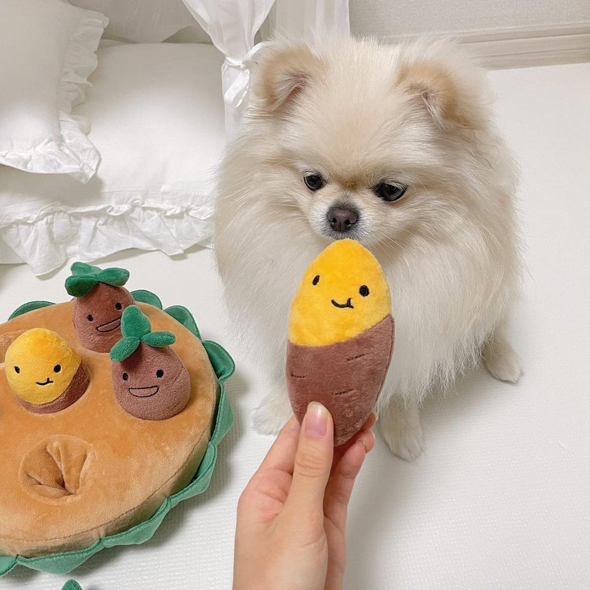 Pet Dog Pull Sweet Potato Sweet Potato Plush Sound Toy