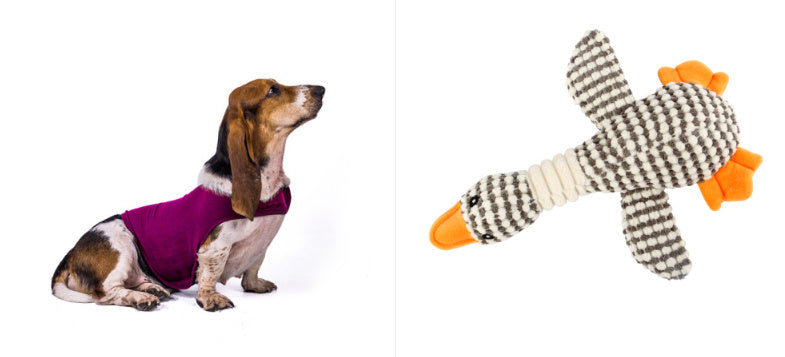 Anxiety Jacket Vest Medical Treatment To Calm Down Cat Clothes