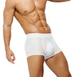 Translucent Ice Silk Men's Underwear Thin