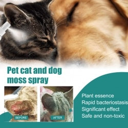 Yegbong Pet Skin Medicine Spray, Cats And Dogs To Remove Mite Skin Itching To Remove Red Hair To Itch