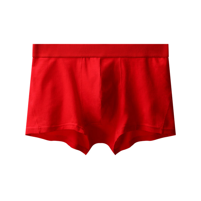 Men's Underwear 40 Pieces Pure Cotton Boxer Brief