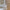 Women Mesh Tote Bag Solid Color Designer Ladies Casual Handbag Shoulder Bag Large Capacity Reusable Shopping Beach Bag