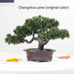 Simulation Artificial Flower Potting Decoration Plastic Tree Big Welcome Pine