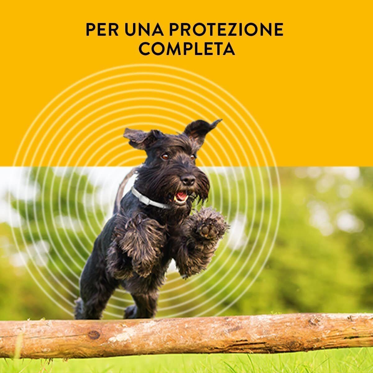 Dogs And Cats Insect Repellent Flea Insect Repellent Scalibor Collar pets Flea Deworming Collar