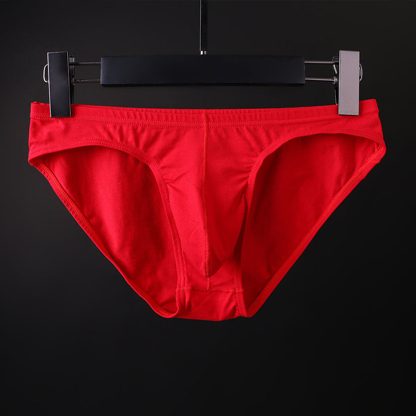 Men's Triangle Cotton Underwear Low Waist Sexy U Pouch