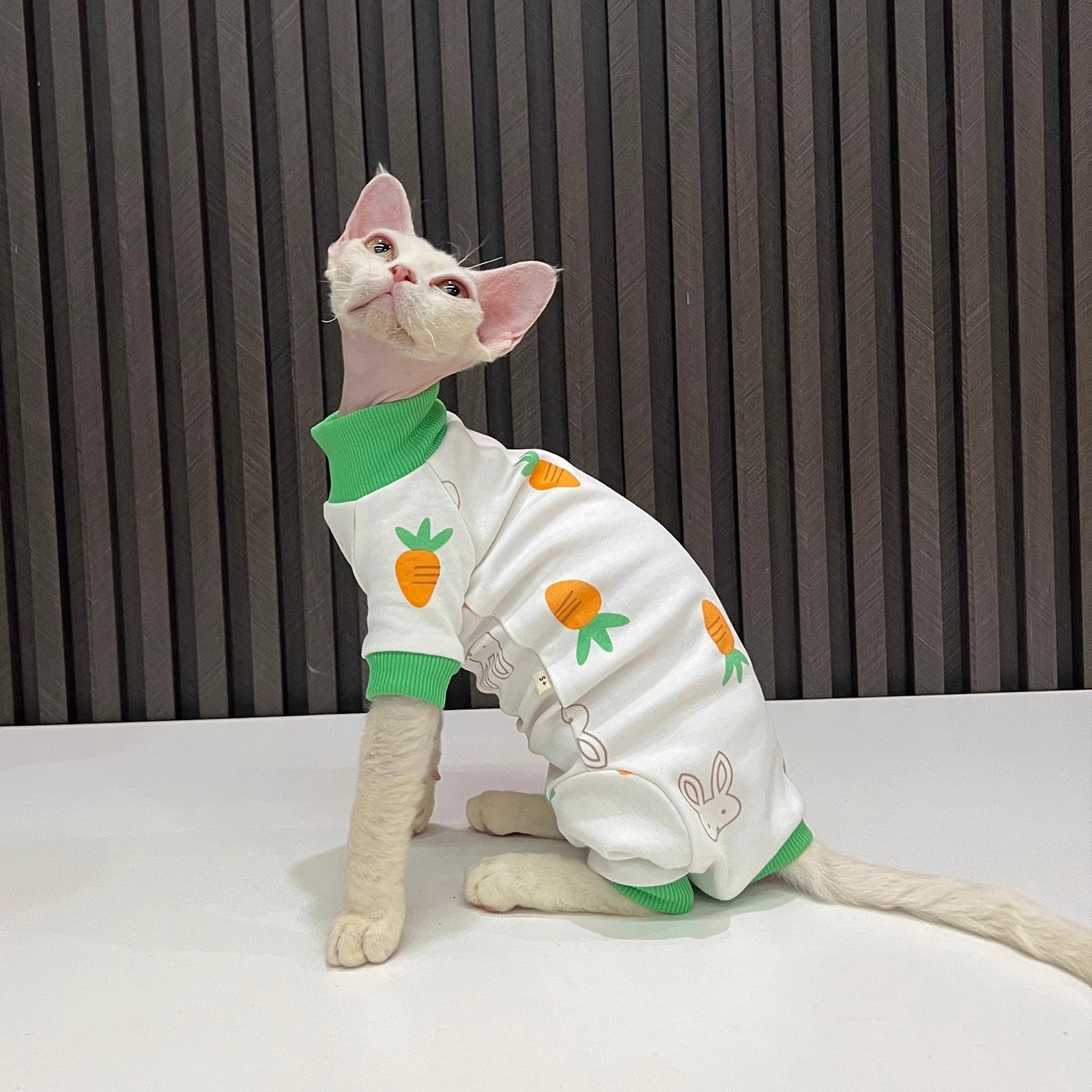Spring And Autumn Hairless Cat All-inclusive Anti-lint Sleeved Cat Clothes