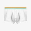 Men's Purified Cotton Underwear Thin Antibacterial Boyshorts