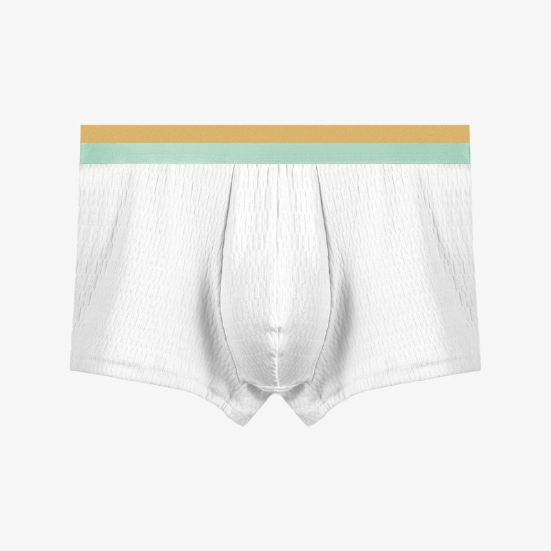 Men's Purified Cotton Underwear Thin Antibacterial Boyshorts