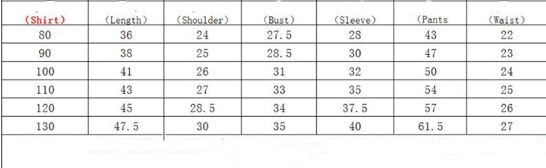 Children's Clothing Autumn And Winter Long Sleeve Cotton White Shirt Trousers Birthday Flower Children's Dress Boys Winter Suit