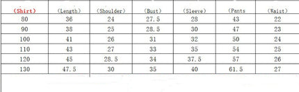 Children's Clothing Autumn And Winter Long Sleeve Cotton White Shirt Trousers Birthday Flower Children's Dress Boys Winter Suit