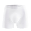Ice Silk Underwear Men's Summer Ultra-thin Breathable