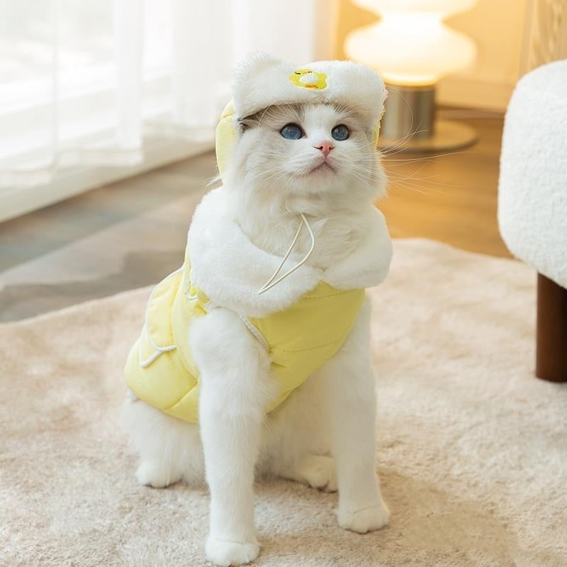 Cat Clothes Autumn And Winter Clothes Thickened Cotton-padded Clothes Anti-lint