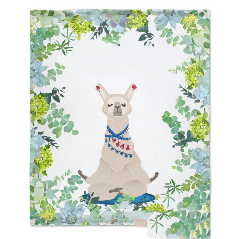 Baby Photo Backdrop Blanket