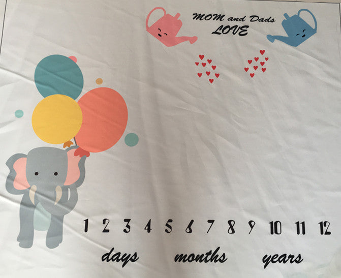 Baby Milestone Blanket Photo Prop