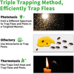 Creative Simple Pet Household Flea Trap
