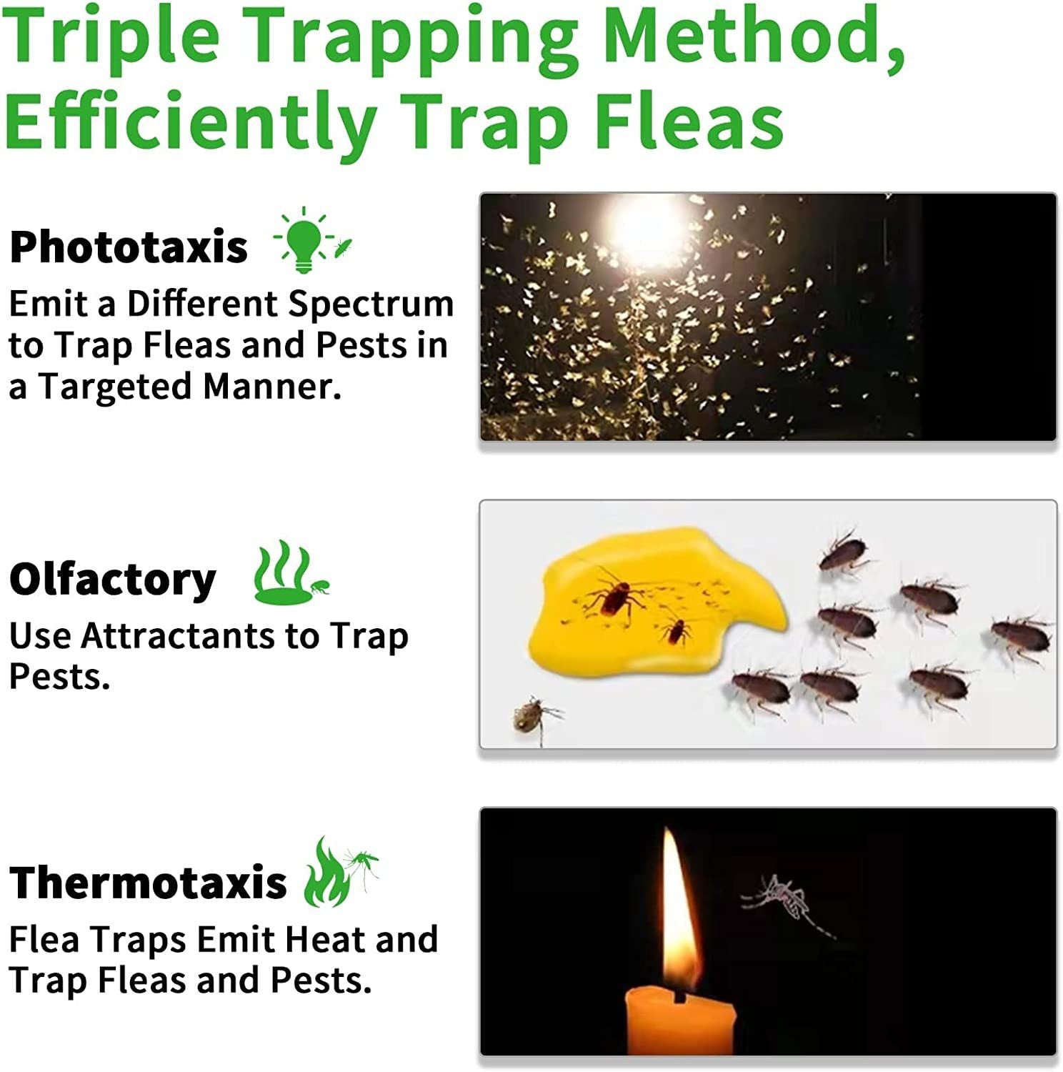 Creative Simple Pet Household Flea Trap