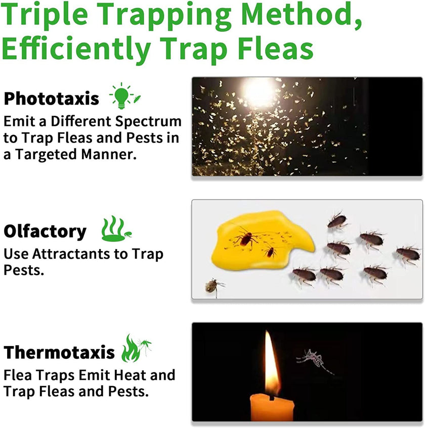 Creative Simple Pet Household Flea Trap