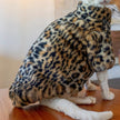 Fluffy Leopard Hairless Cat Clothes Short Plush Cat Fur