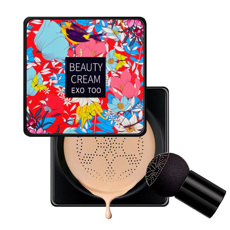 bb cream concealer foundation