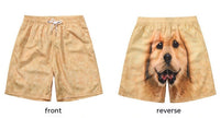 Golden Retriever Shorts Casual Pajamas Pajamas Sports Pants funny pants shorts
