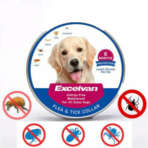 Waterproof Adjustable Insect Repellent Collar Flea Tick Removal