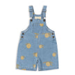 Lemon Distressed Coat Vintage Frosted Suspender Shorts Bow Vest Skirt
