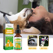 Pet Nutritional Supplements Enhance Energy Vitality