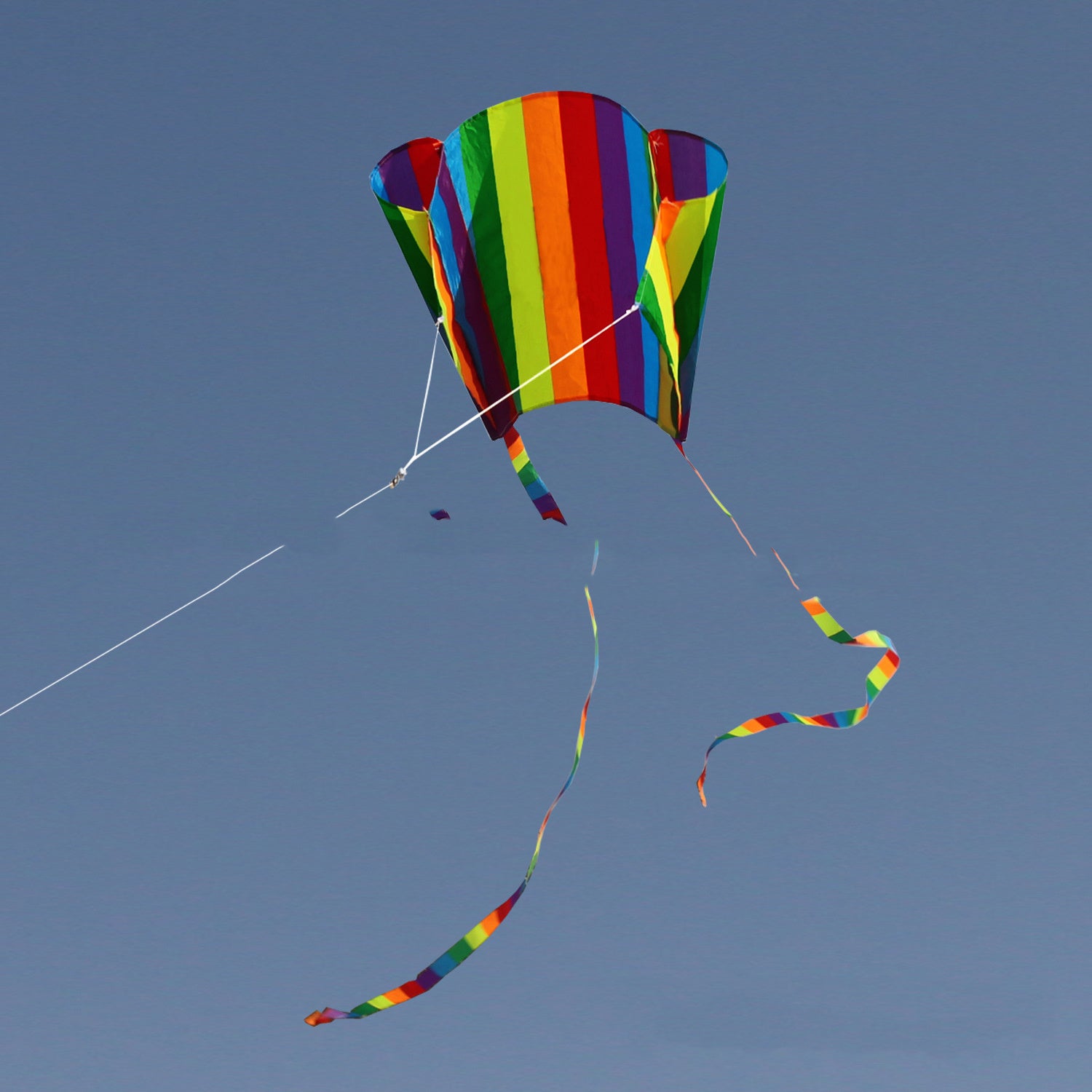 Rainbow Small Pockets Kite Software Children The Long Tail Kite