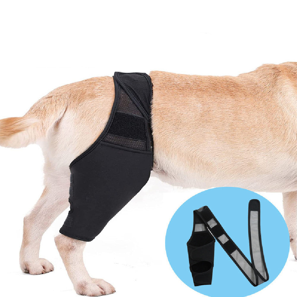 Dog Leg Fracture Fixation Protector
