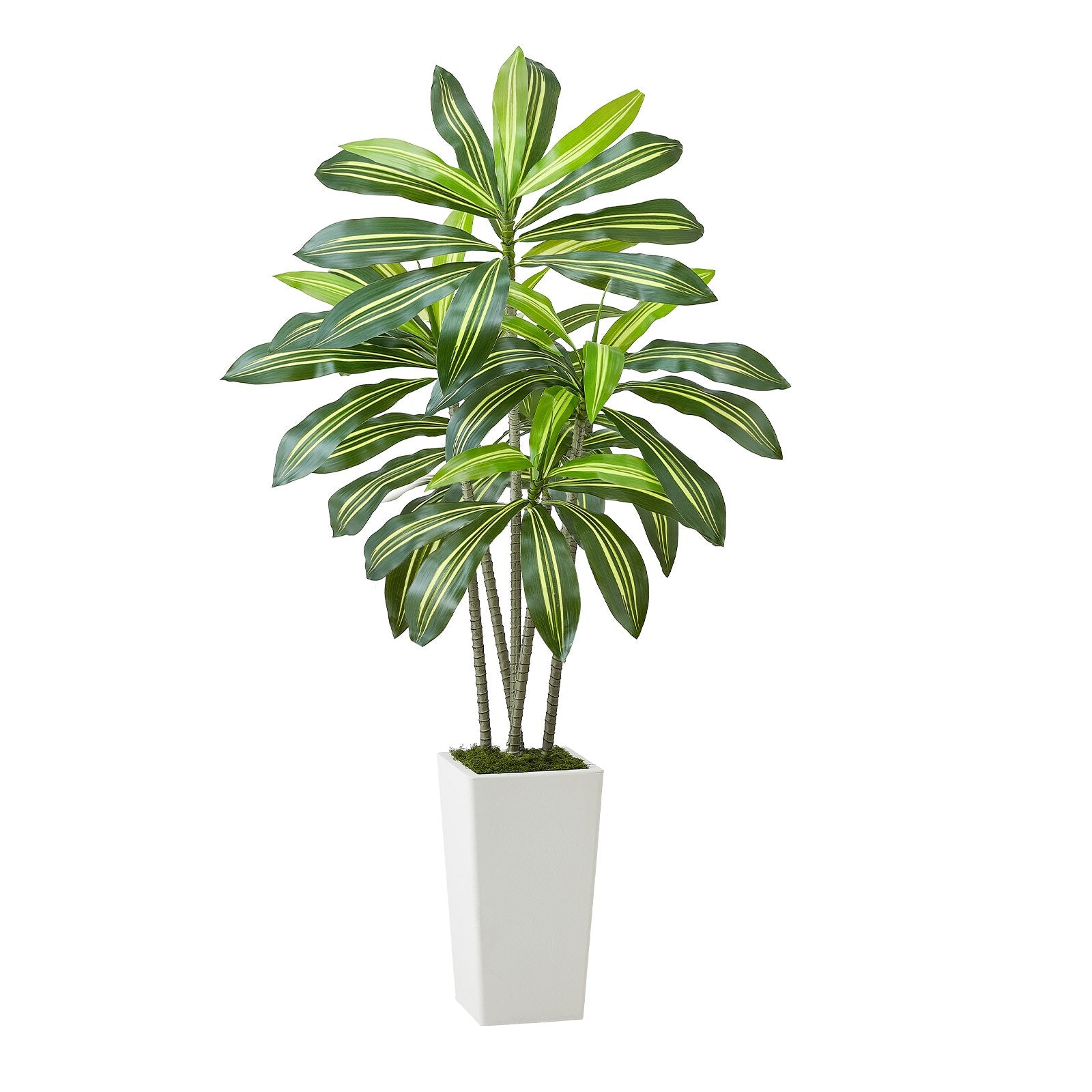 Artificial Dracaena Tree 5 Ft, Fake Palm Tropical Plants With White Tall Planter, Faux Floor Silk Plant In Pot, Large Trees For Home Office Living Room Decor House Warming, Indoor Outdoor