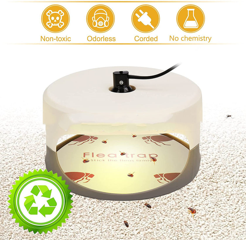 Pet Household Flea Lamp Without Pesticides