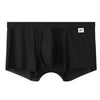 Men's Mesh Underwear Men's Ice Silk Boxer Summer Thin Breathable Boxers Seamless Youth Pants Men