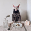 Hairless Cat Clothes Sphinx Cat German Suit Shirt Outfit