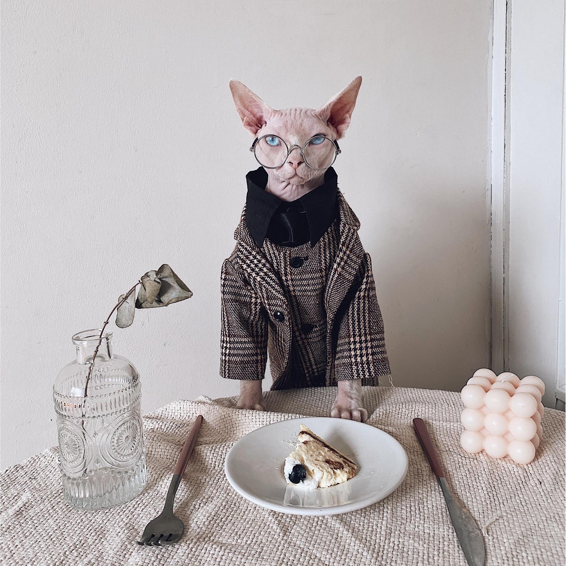 Hairless Cat Clothes Sphinx Cat German Suit Shirt Outfit