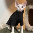Dralon Self-heating Hairless Cat Clothes Autumn And Winter Base Hoodie