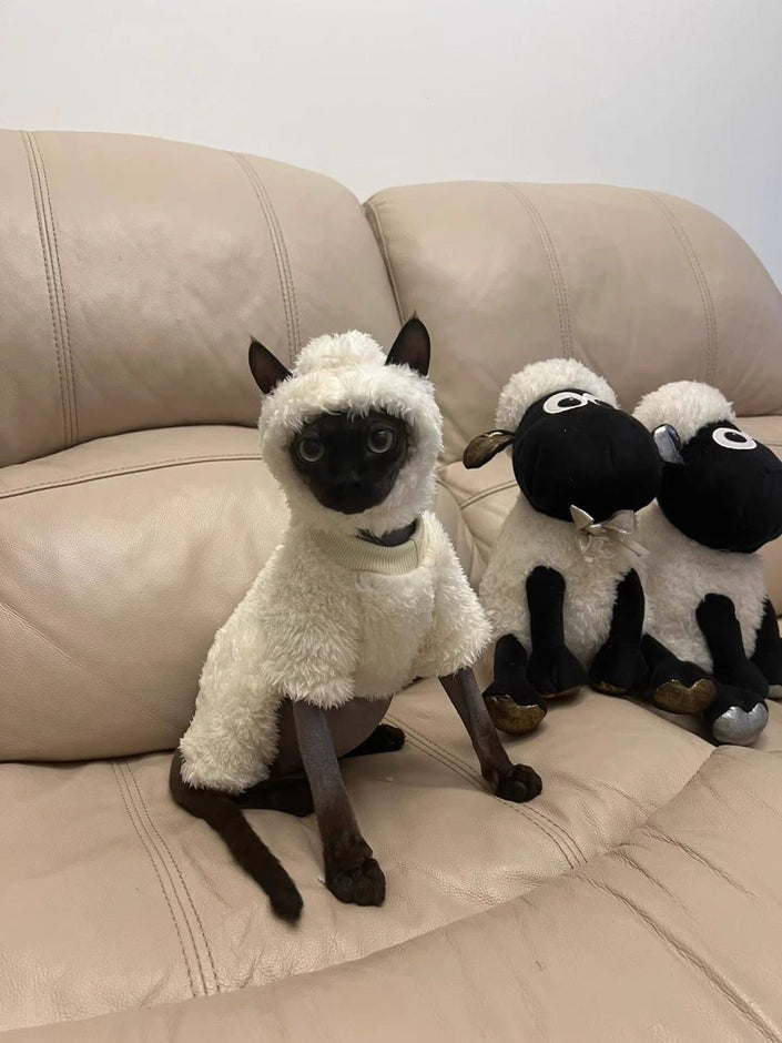 Cat Clothes Four-legged Pet Clothing Fleece-lined Pet Clothes