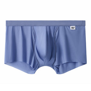 Men's Mesh Underwear Men's Ice Silk Boxer Summer Thin Breathable Boxers Seamless Youth Pants Men