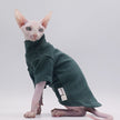 Hairless Cat Clothes Autumn And Winter Base Hoodie