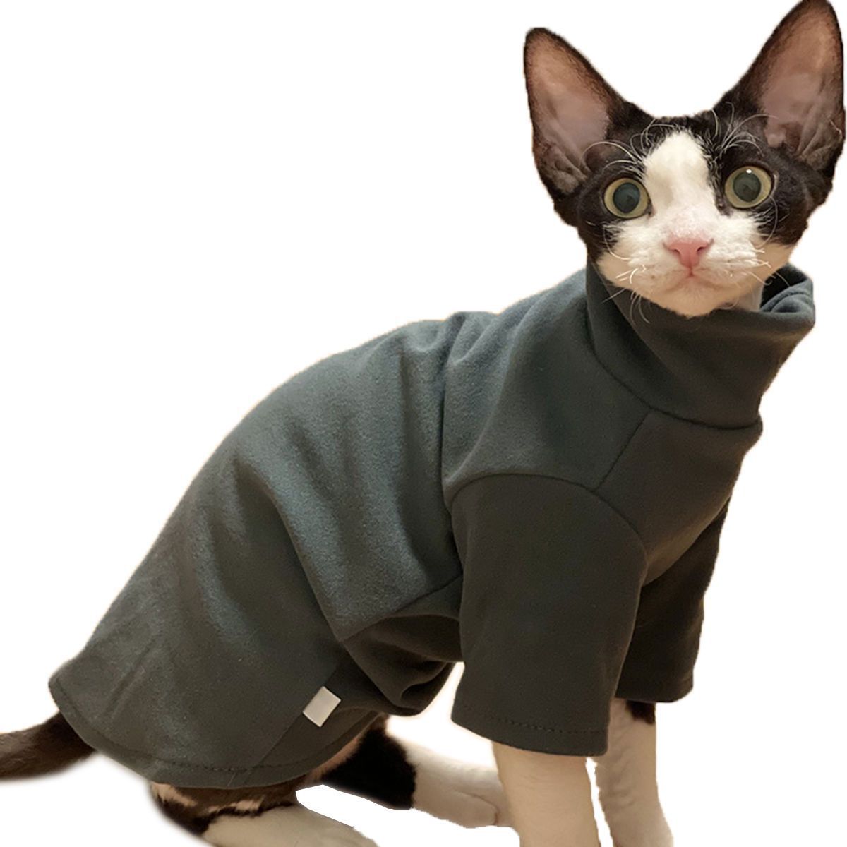 Dralon Self-heating Hairless Cat Clothes Autumn And Winter Base Hoodie