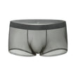 Ice Silk Underwear Men's Seamless Summer Thin Boxers