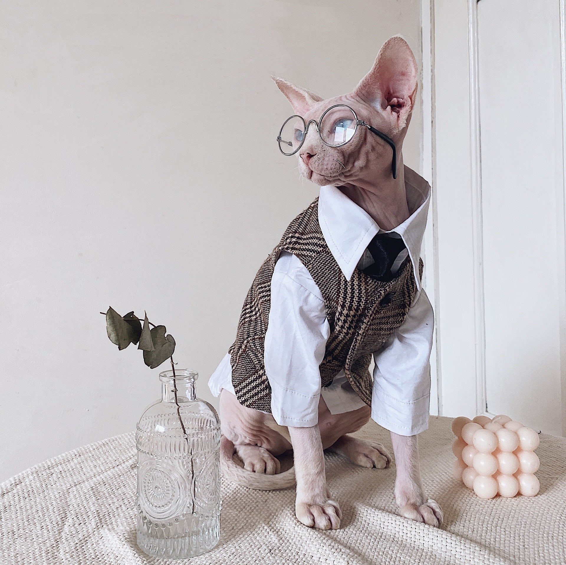 Hairless Cat Clothes Sphinx Cat German Suit Shirt Outfit