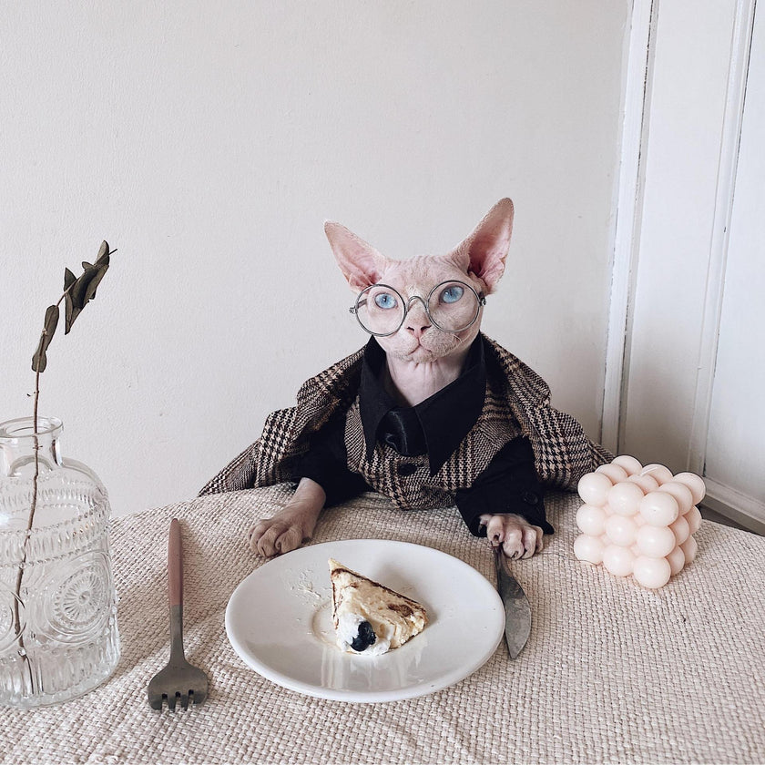 Hairless Cat Clothes Sphinx Cat German Suit Shirt Outfit