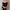 Vest Female Summer Hot Girl Fried Street Must-have Super Fairy Top