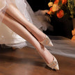 Pointed High Heels Women's Stiletto Heel New Wedding Shoes Xiuhe Wedding Dress Annual Meeting Pumps