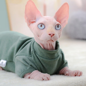 Hairless Cat Clothes Autumn And Winter Dralon Base