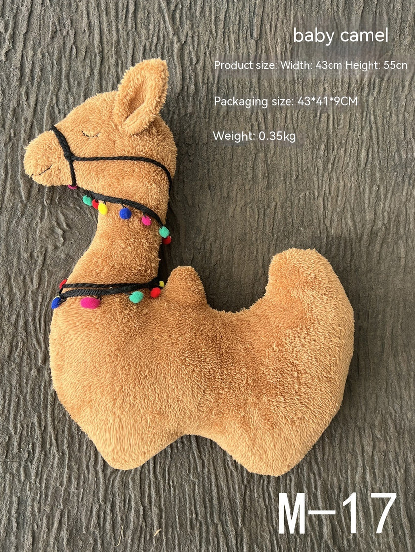 Newborn Baby Photography Props One Month Old Baby Shooting